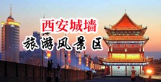 好爽大嗯啊网站中国陕西-西安城墙旅游风景区